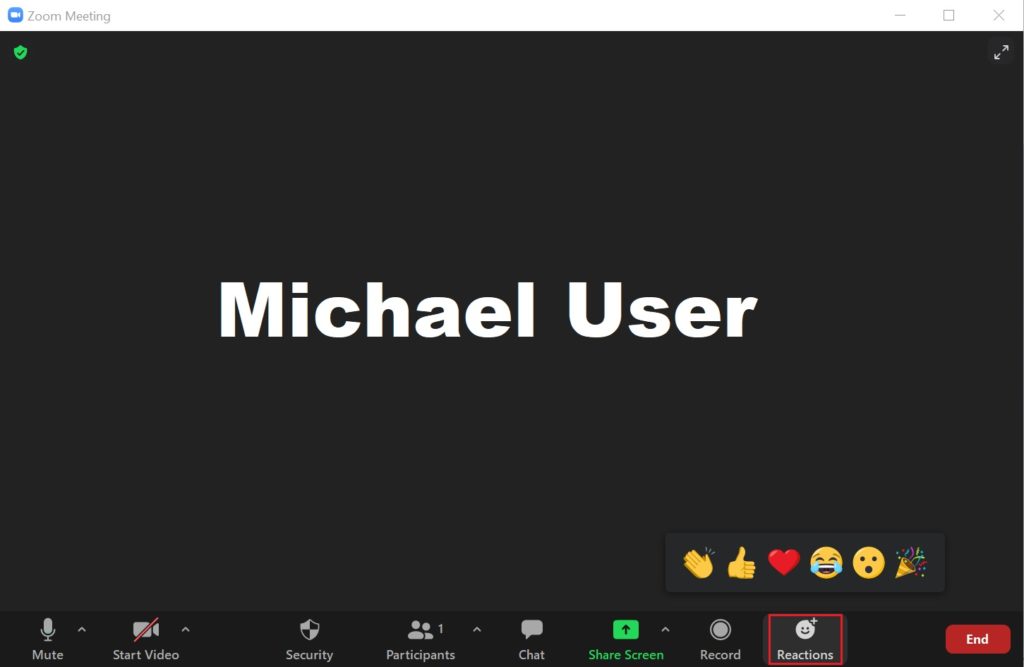 What are the Zoom Detail buttons During Live Meeting - WhatisMyLocalIP