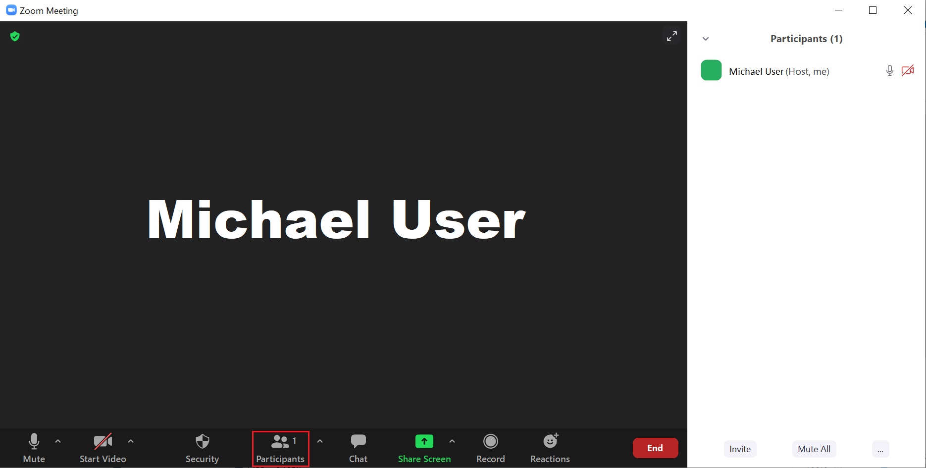 What are the Zoom Detail buttons During Live Meeting WhatisMyLocalIP